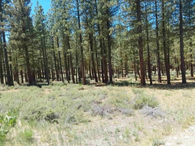 Discover Your Dream Homesite at Nakoma in the Lost Sierra Region on Nakoma Golf Resort in California - for sale on GolfHomes.com, golf home, golf lot