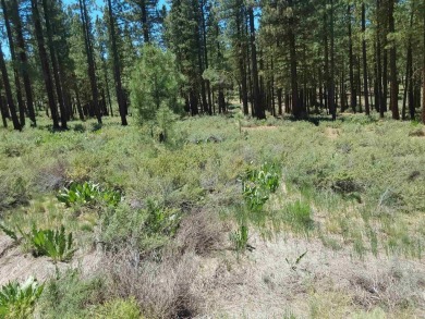 Discover Your Dream Homesite at Nakoma in the Lost Sierra Region on Nakoma Golf Resort in California - for sale on GolfHomes.com, golf home, golf lot