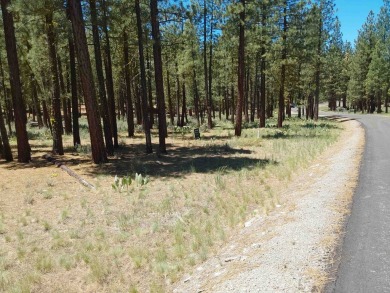 Discover Your Dream Homesite at Nakoma in the Lost Sierra Region on Nakoma Golf Resort in California - for sale on GolfHomes.com, golf home, golf lot