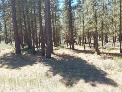 Discover Your Dream Homesite at Nakoma in the Lost Sierra Region on Nakoma Golf Resort in California - for sale on GolfHomes.com, golf home, golf lot