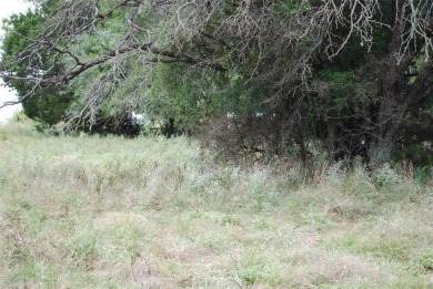 Property is located with another gated community within White on White Bluff Resort - Old Course in Texas - for sale on GolfHomes.com, golf home, golf lot