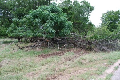 Property is located with another gated community within White on White Bluff Resort - Old Course in Texas - for sale on GolfHomes.com, golf home, golf lot