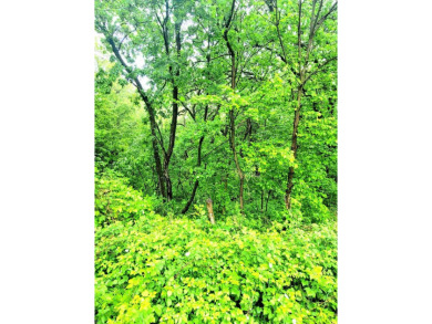 Gently sloping 1.18 acre lot in private end of cul-de-sac on Eagle Ridge Inn and Resort in Illinois - for sale on GolfHomes.com, golf home, golf lot