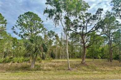 Discover the charm of Punta Gorda, FL! Build your dream home on on Seminole Lakes Country Club in Florida - for sale on GolfHomes.com, golf home, golf lot