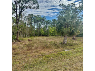 Discover the charm of Punta Gorda, FL! Build your dream home on on Seminole Lakes Country Club in Florida - for sale on GolfHomes.com, golf home, golf lot