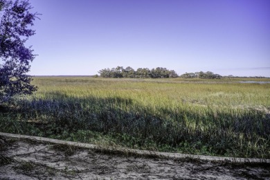 4 shares of 12 available (!/3 ownership) on the outskirts of the on Wild Dunes Harbor Golf Resort in South Carolina - for sale on GolfHomes.com, golf home, golf lot