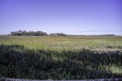 4 shares of 12 available (!/3 ownership) on the outskirts of the on Wild Dunes Harbor Golf Resort in South Carolina - for sale on GolfHomes.com, golf home, golf lot