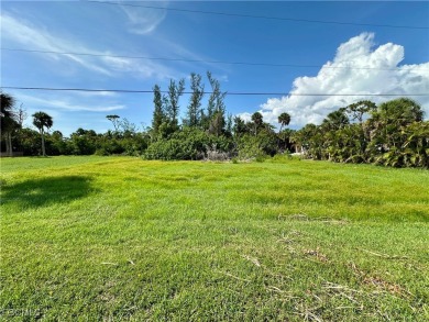 Discover the perfect opportunity to embrace paradise living in a on Alden Pines Golf Club in Florida - for sale on GolfHomes.com, golf home, golf lot