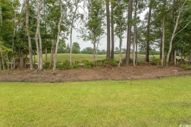 ALMOST NEW - MOVE IN READY...GOLF COURSE VIEW......Open on Palmetto Greens Golf and Country Club in South Carolina - for sale on GolfHomes.com, golf home, golf lot