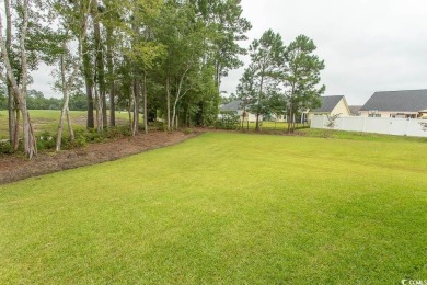 ALMOST NEW - MOVE IN READY...GOLF COURSE VIEW......Open on Palmetto Greens Golf and Country Club in South Carolina - for sale on GolfHomes.com, golf home, golf lot