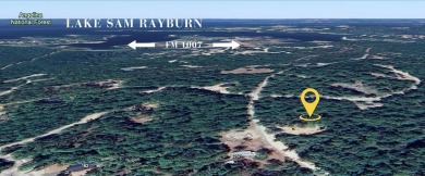 Freshly Cleared, Flat, and Ready for Your Vision! Imagine  a on Rayburn Country Club in Texas - for sale on GolfHomes.com, golf home, golf lot