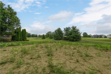 Welcome to your dream home at 836 Buckingham Drive, Lagrange in on Grey Hawk Golf Club in Ohio - for sale on GolfHomes.com, golf home, golf lot