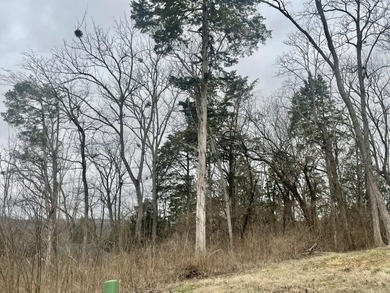 Beautiful wooded lot in the Woodlands in Boones Trace and on The Bull At Boones Trace in Kentucky - for sale on GolfHomes.com, golf home, golf lot