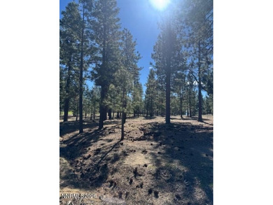 Homesite 137 offers a private setting just steps from a on Clear Creek Tahoe in Nevada - for sale on GolfHomes.com, golf home, golf lot