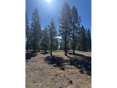 Homesite 137 offers a private setting just steps from a on Clear Creek Tahoe in Nevada - for sale on GolfHomes.com, golf home, golf lot