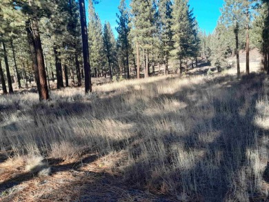Check out this beautiful 2.04 acre wooded lot on the corner of on Nakoma Golf Resort in California - for sale on GolfHomes.com, golf home, golf lot