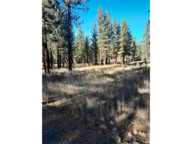 Check out this beautiful 2.04 acre wooded lot on the corner of on Nakoma Golf Resort in California - for sale on GolfHomes.com, golf home, golf lot