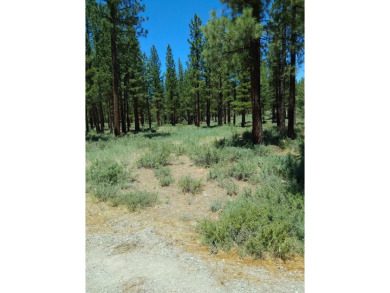 Check out this beautiful 2.04 acre wooded lot on the corner of on Nakoma Golf Resort in California - for sale on GolfHomes.com, golf home, golf lot