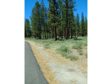Check out this beautiful 2.04 acre wooded lot on the corner of on Nakoma Golf Resort in California - for sale on GolfHomes.com, golf home, golf lot