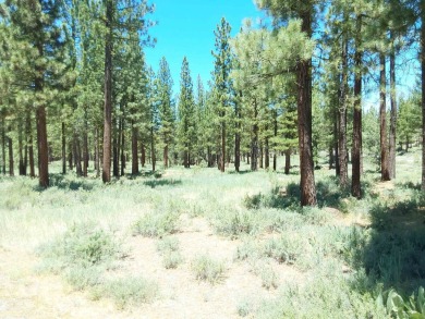 Check out this beautiful 2.04 acre wooded lot on the corner of on Nakoma Golf Resort in California - for sale on GolfHomes.com, golf home, golf lot