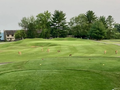 Stunning 3-Bedroom, 2.5-Bath End Unit Townhome on Golf Course on The Eagle Pointe Golf Resort in Indiana - for sale on GolfHomes.com, golf home, golf lot