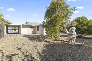 Tons of Potential. Opportunity to purchase a fix up home in on Sun City Lakes West and East in Arizona - for sale on GolfHomes.com, golf home, golf lot