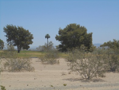 Golf Course Property with all the views!!!  Close to the club on Blythe Municipal Golf Course in California - for sale on GolfHomes.com, golf home, golf lot