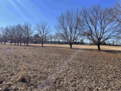 Welcome to Southern Hills Plantation, one of the best places on on Southern Hills Golf Club in Georgia - for sale on GolfHomes.com, golf home, golf lot