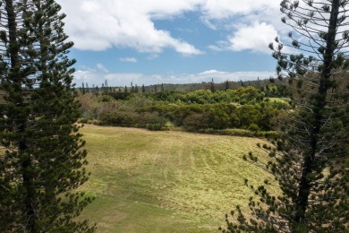 In a tranquil location in Kapalua's prestigious Plantation on Kapalua Golf Club - Plantation Course in Hawaii - for sale on GolfHomes.com, golf home, golf lot