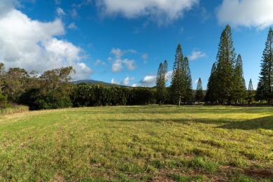 In a tranquil location in Kapalua's prestigious Plantation on Kapalua Golf Club - Plantation Course in Hawaii - for sale on GolfHomes.com, golf home, golf lot