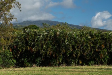 In a tranquil location in Kapalua's prestigious Plantation on Kapalua Golf Club - Plantation Course in Hawaii - for sale on GolfHomes.com, golf home, golf lot