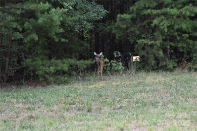 This Badin Lake area lot is located in the prestigious gated on Old North State Club at Uwharrie Point Golf community in North Carolina - for sale on GolfHomes.com, golf home, golf lot