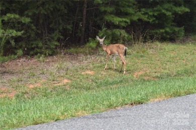 This Badin Lake area lot is located in the prestigious gated on Old North State Club at Uwharrie Point Golf community in North Carolina - for sale on GolfHomes.com, golf home, golf lot