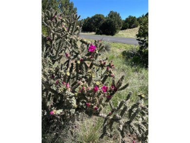 Located in Estates 1 of Las Campanas, this elevated 2.79 acre on The Club At Las Campanas  in New Mexico - for sale on GolfHomes.com, golf home, golf lot