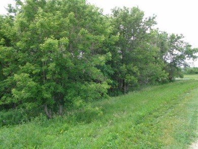 Great location right across the street from the Property Owners on Eagle Ridge Inn and Resort in Illinois - for sale on GolfHomes.com, golf home, golf lot