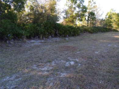 This lot and the adjoining lot are both availible making this on Seminole Lakes Country Club in Florida - for sale on GolfHomes.com, golf home, golf lot
