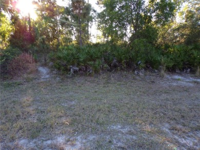This lot and the adjoining lot are both availible making this on Seminole Lakes Country Club in Florida - for sale on GolfHomes.com, golf home, golf lot