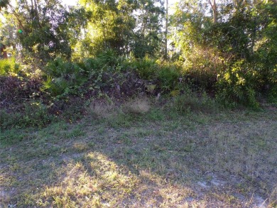 This lot and the adjoining lot are both availible making this on Seminole Lakes Country Club in Florida - for sale on GolfHomes.com, golf home, golf lot
