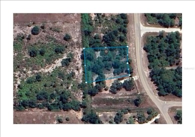 This lot and the adjoining lot are both availible making this on Seminole Lakes Country Club in Florida - for sale on GolfHomes.com, golf home, golf lot