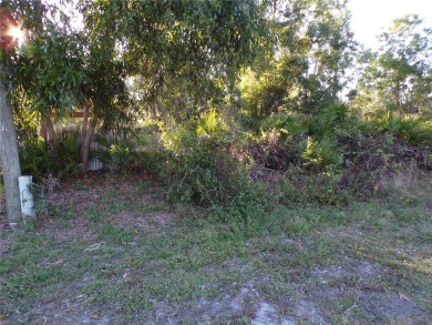This lot and the adjoining lot are both availible making this on Seminole Lakes Country Club in Florida - for sale on GolfHomes.com, golf home, golf lot