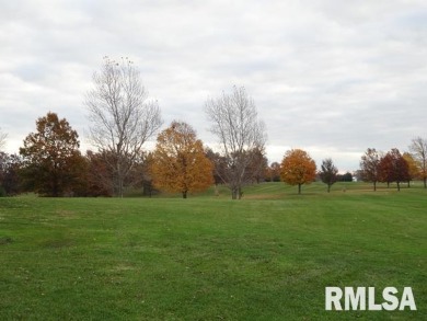 MARCH MADNESS SALE UNTIL APRIL 30TH! Now available...newly on Maple Lane Country Club in Illinois - for sale on GolfHomes.com, golf home, golf lot