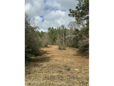 3 Beautiful partially cleared and partially wooded acres ready on The Kings Arrow Ranch in Mississippi - for sale on GolfHomes.com, golf home, golf lot