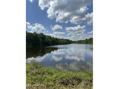 3 Beautiful partially cleared and partially wooded acres ready on The Kings Arrow Ranch in Mississippi - for sale on GolfHomes.com, golf home, golf lot
