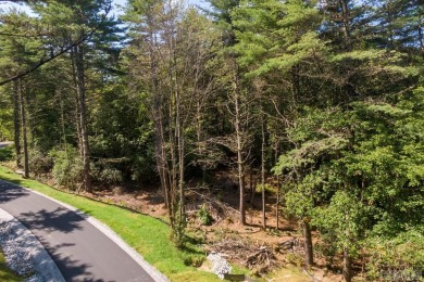 This 2.65-acre parcel features a level building site, privacy on Natures Walk At Chinquapin in North Carolina - for sale on GolfHomes.com, golf home, golf lot