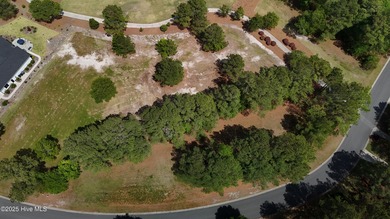 Nestled within the serene, gated enclave of River Landing, this on River Landing Golf Course in North Carolina - for sale on GolfHomes.com, golf home, golf lot