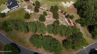 Nestled within the serene, gated enclave of River Landing, this on River Landing Golf Course in North Carolina - for sale on GolfHomes.com, golf home, golf lot