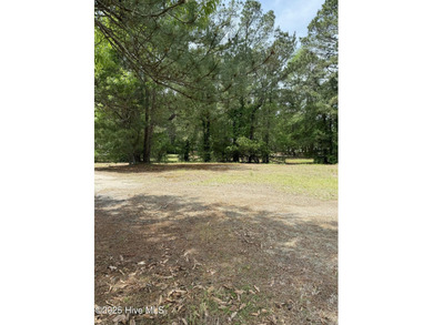 Nestled within the serene, gated enclave of River Landing, this on River Landing Golf Course in North Carolina - for sale on GolfHomes.com, golf home, golf lot