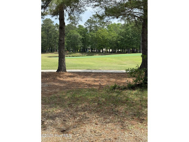 Nestled within the serene, gated enclave of River Landing, this on River Landing Golf Course in North Carolina - for sale on GolfHomes.com, golf home, golf lot
