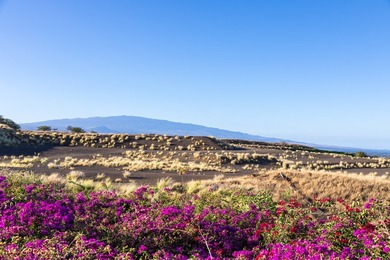 Considered the most sacred of the island's five volcanoes, Mauna on Hapuna Golf Course in Hawaii - for sale on GolfHomes.com, golf home, golf lot