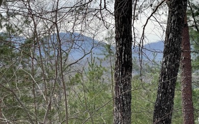 GENTLE LOT IN THE MOUNTAINS OF NORTH CAROLINA!! This beautiful on Mountain Harbour Golf Club in North Carolina - for sale on GolfHomes.com, golf home, golf lot